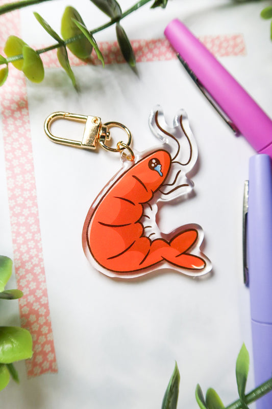 my back hurty shrimp keychain